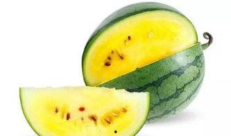 免费吃瓜群图什么,一场视觉盛宴背后的故事  第2张